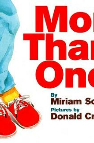Cover of More Than One