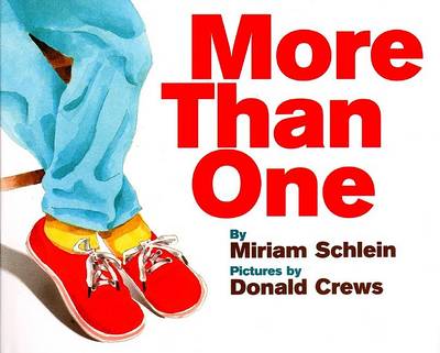 Book cover for More Than One