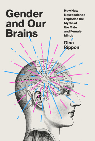 Book cover for Gender and Our Brains