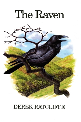 Cover of The Raven