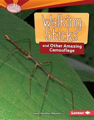 Book cover for Walking Sticks and Other Amazing Camouflage