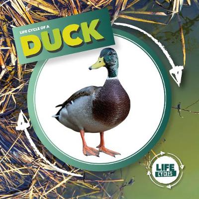 Cover of Duck