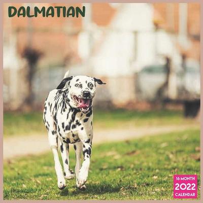 Book cover for Dalmatian 2022 Calendar