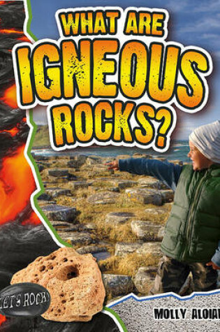 Cover of What Are Igneous Rocks?