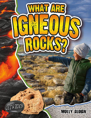 Book cover for What Are Igneous Rocks?