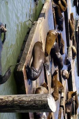 Book cover for Harbor Seals Hanging Out on a Dock in San Francisco, California Journal