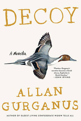 Book cover for Decoy