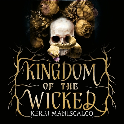 Book cover for Kingdom of the Wicked