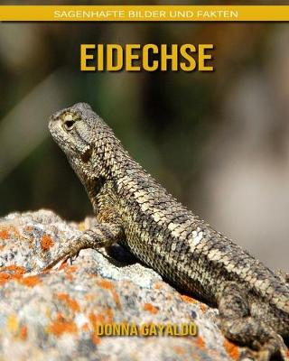 Book cover for Eidechse