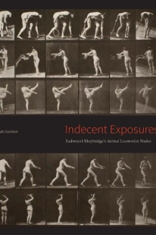 Cover of Indecent Exposures