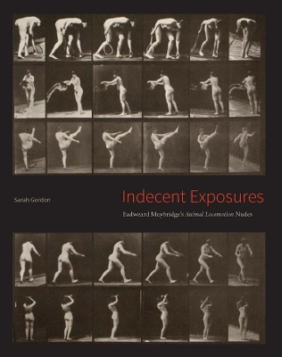 Book cover for Indecent Exposures