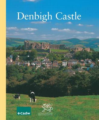 Book cover for Denbigh Castle