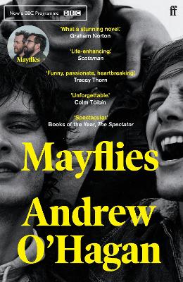 Book cover for Mayflies