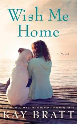 Book cover for Wish Me Home