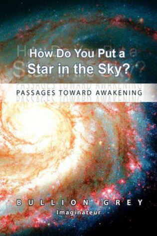 Cover of How Do You Put a Star in the Sky?