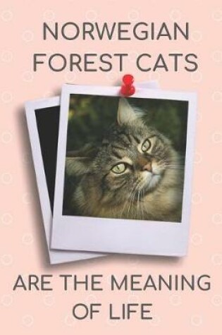 Cover of Norwegian Forest Cats Are the Meaning of Life