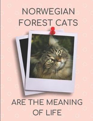 Book cover for Norwegian Forest Cats Are the Meaning of Life