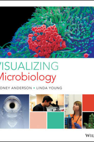 Cover of Visualizing Microbiology First Edition EPUB