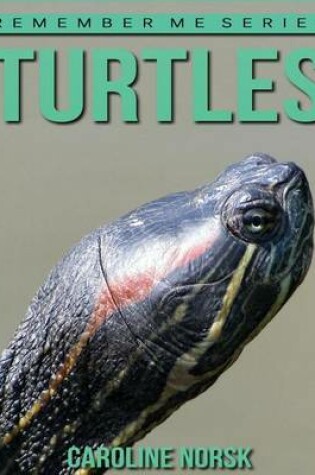 Cover of Turtles