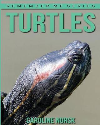 Book cover for Turtles