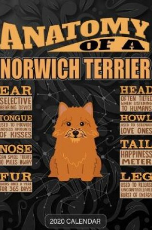 Cover of Anatomy Of A Norwich Terrier