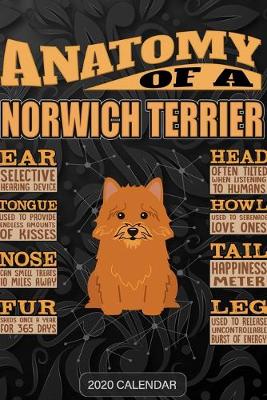 Book cover for Anatomy Of A Norwich Terrier