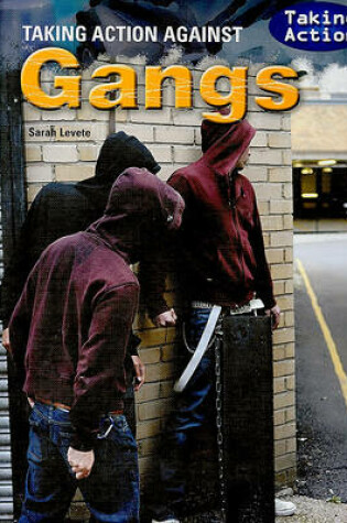 Cover of Taking Action Against Gangs