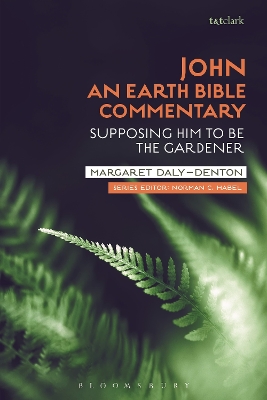 Book cover for John: An Earth Bible Commentary