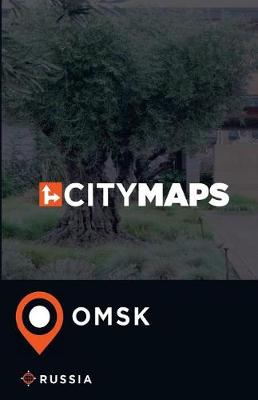 Book cover for City Maps Omsk Russia