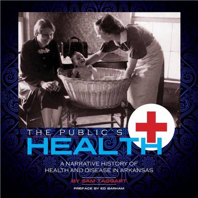 Book cover for The Public's Health