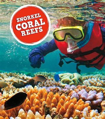 Book cover for Snorkel Coral Reefs