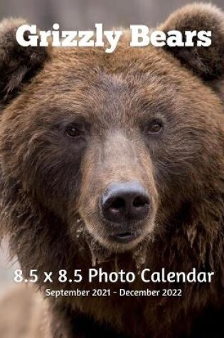 Cover of Grizzly Bears 8.5 X 8.5 Calendar September 2021 -December 2022