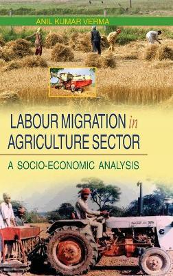 Book cover for Labour Migration in Agriculture Sector