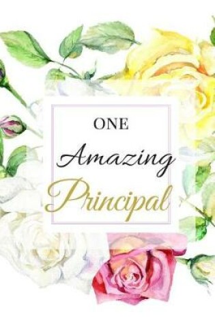 Cover of One Amazing Principal