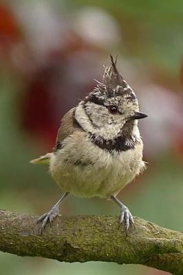 Book cover for A Young European Crested Tit Bird on a Branch Journal