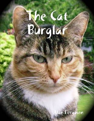 Book cover for The Cat Burglar