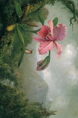 Book cover for Martin Johnson Heade Orchid and Hummingbird Near Mountain Waterfall