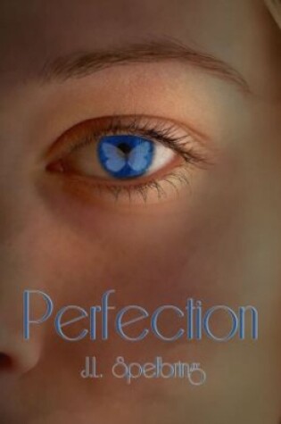 Cover of Perfection