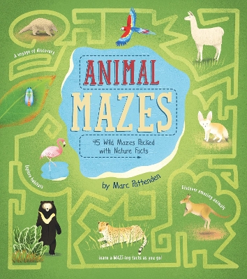 Book cover for Animal Mazes