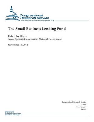 Book cover for The Small Business Lending Fund