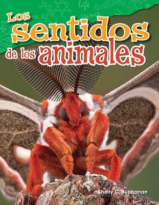 Cover of Los sentidos de los animales (Animal Senses)