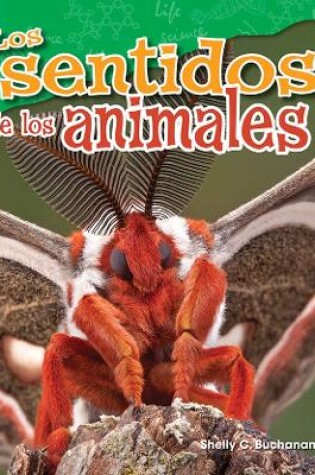 Cover of Los sentidos de los animales