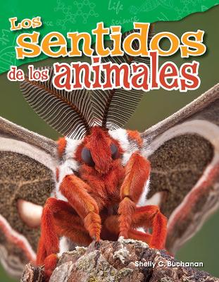 Book cover for Los sentidos de los animales