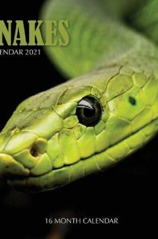 Cover of Snake Calendar 2021