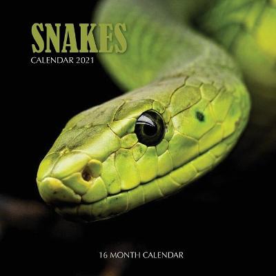 Book cover for Snake Calendar 2021