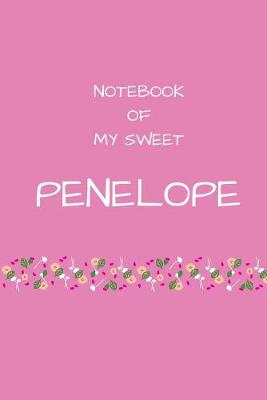 Book cover for Notebook of my sweet Penelope