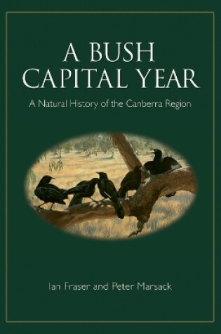 Cover of A Bush Capital Year