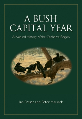 Book cover for A Bush Capital Year