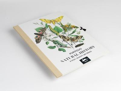 Book cover for Natural History