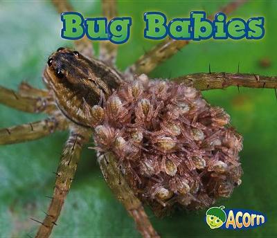 Cover of Bug Babies